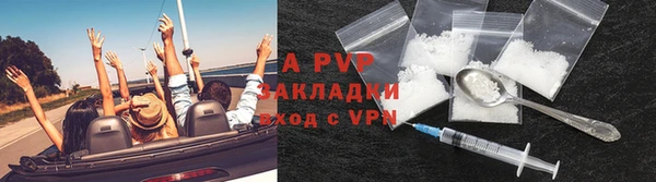 трава Балахна