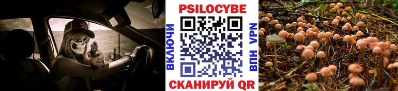 Галлюциногенные грибы MAGIC MUSHROOMS  как найти наркотики  Болхов 